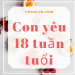 Con yêu 18 tuần tuổi